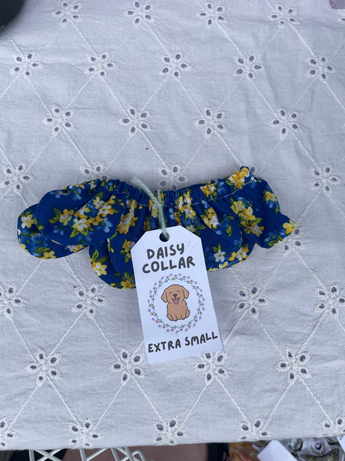 XS Daisy Collar - Blue & Yellow