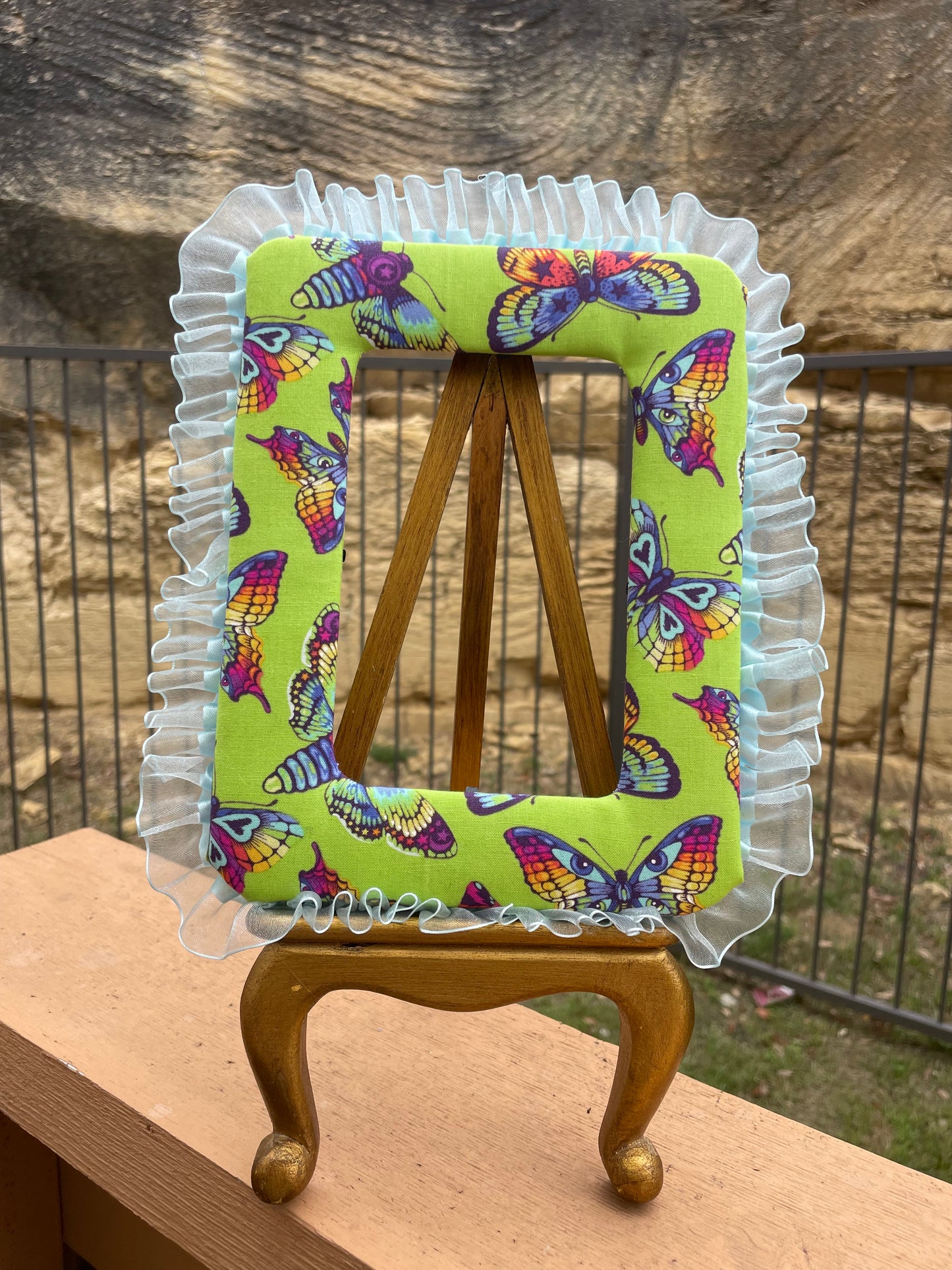 Neon Moths Frame