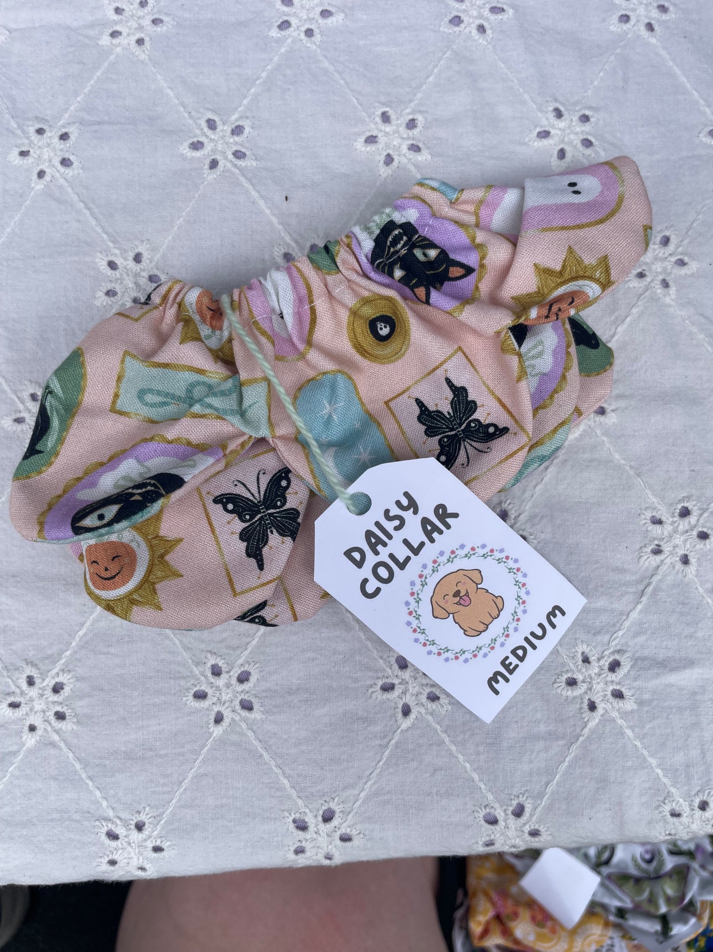 M Daisy Collar - Halloween