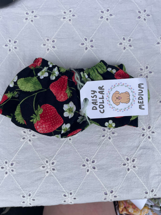 M Daisy Collar - Strawberries