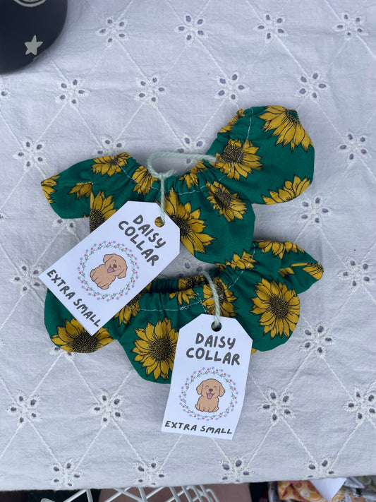 XS Daisy Collar - Sunflowers