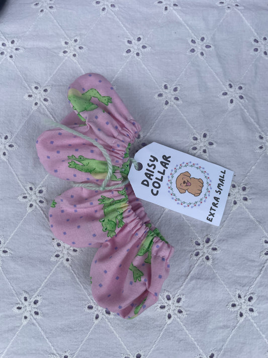 XS Daisy Collar - Froggies