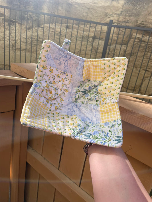 Blue & Yellow Bowl Cozy