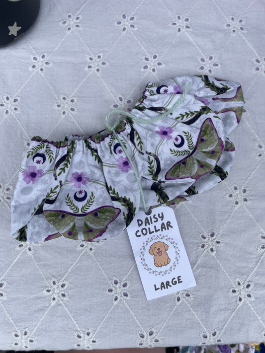 LG Daisy Collar - Moths