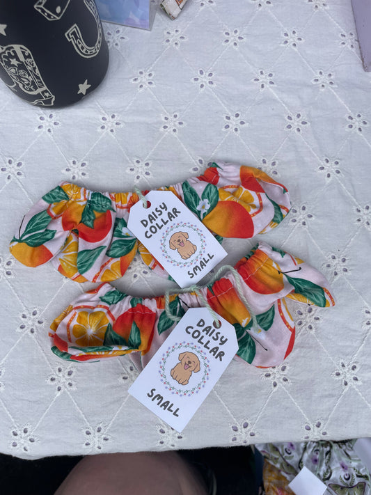 SM Daisy Collar - Orange
