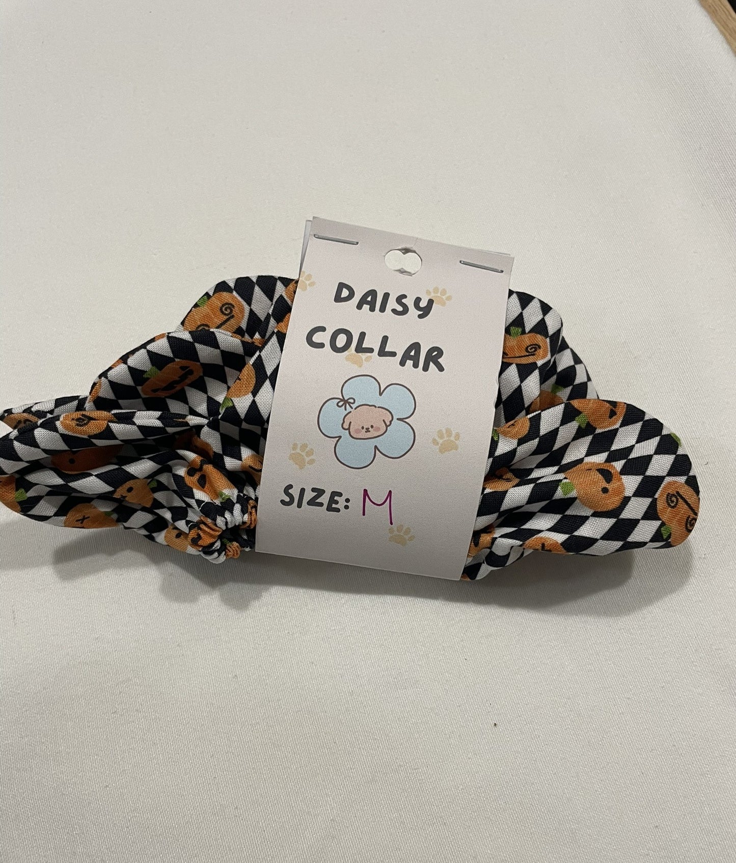 Daisy Collar - Pumpkin Jester