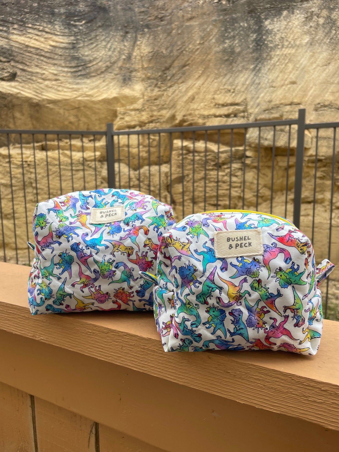 Rainbow Dinos Boxy Bag - Sm